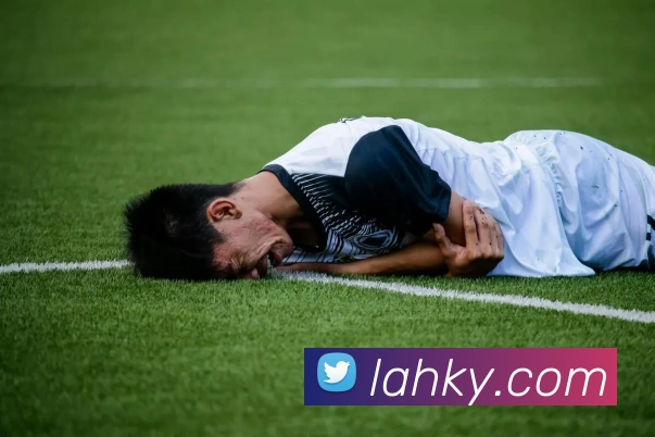 多媒体互动体验