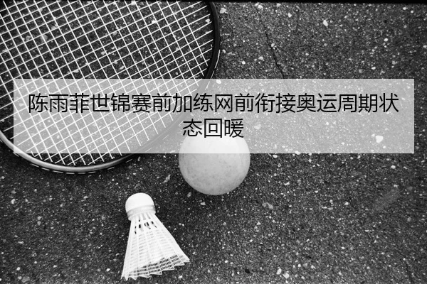 陈雨菲世锦赛前加练网前衔接奥运周期状态回暖